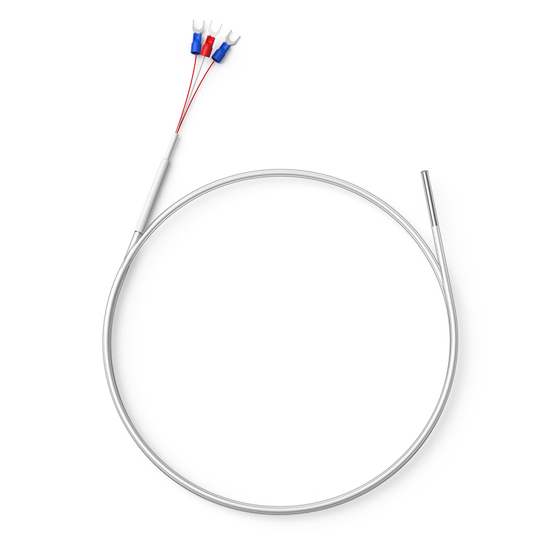 鐵氟龍熱電阻12_http://www.marianenglish.com_溫度儀表_第1張