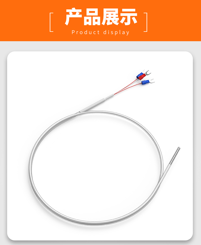 鐵氟龍熱電阻12_http://www.marianenglish.com_溫度儀表_第13張