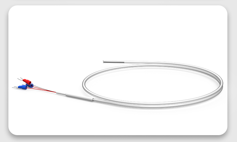 鐵氟龍熱電阻12_http://www.marianenglish.com_溫度儀表_第15張
