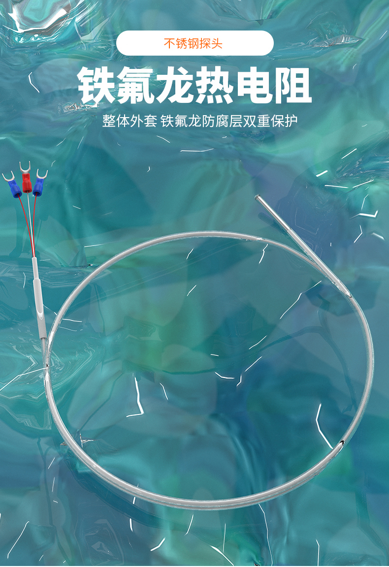 鐵氟龍熱電阻12_http://www.marianenglish.com_溫度儀表_第4張